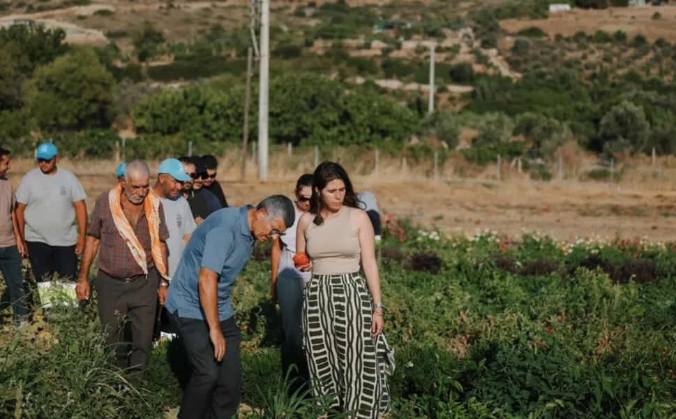 Ata tohumları Çeşme’nin topraklarında çoğalıyor