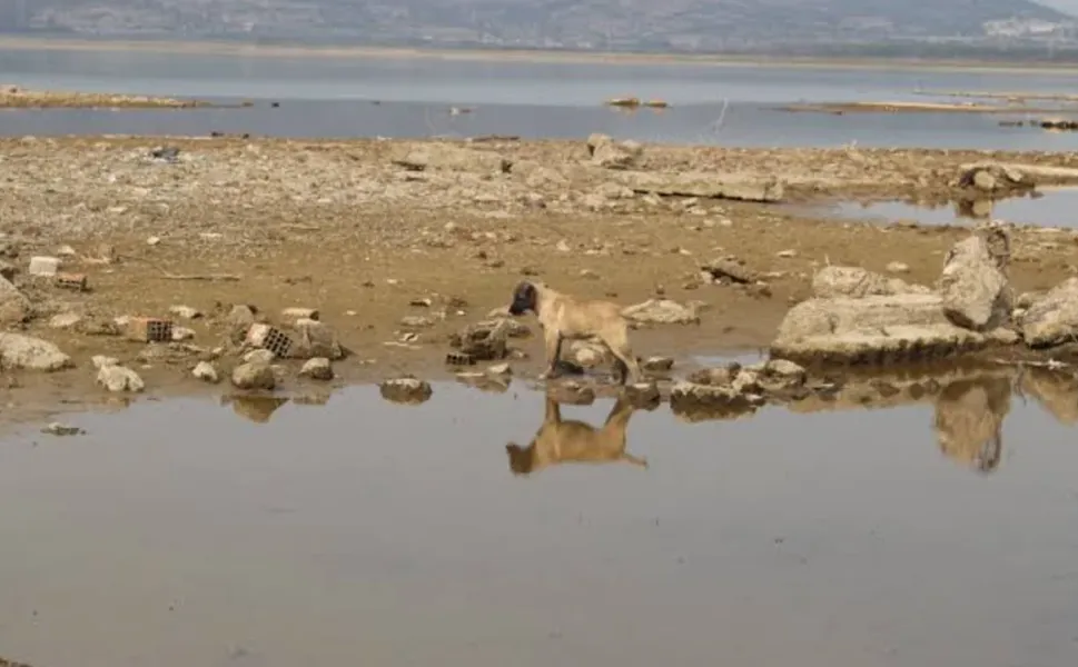 Türkiye’de yağış arttı, İzmir’de çok düşük kaldı