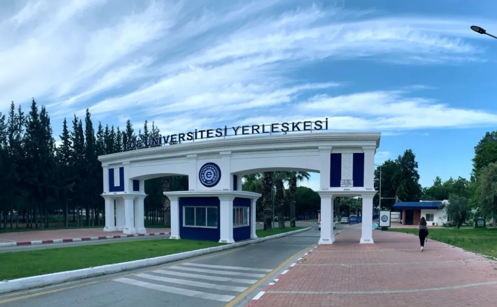 Ege Üniversitesi kampüsünde iki yavru kedi öldü: Yönetimden açıklama