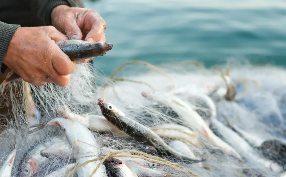 Su ürünleri sektörü İzmir’de Future Fish’te buluşacak