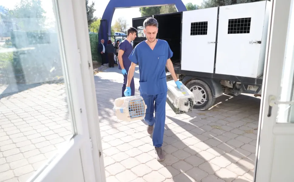 Buca'da sokak hayvanları üzerinden ortaya atılan iddialara yanıt
