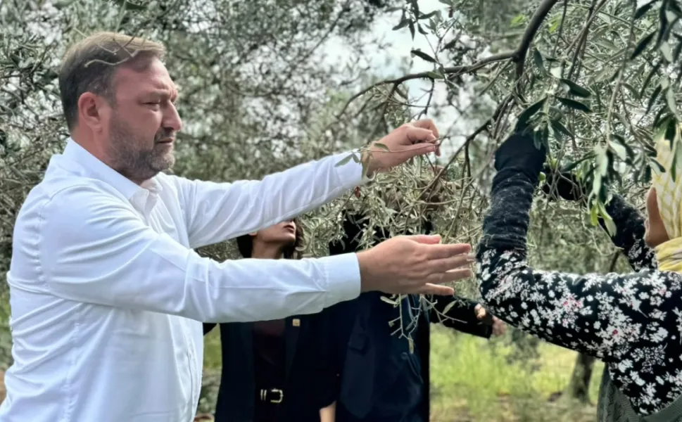 Gümrükçü, Dikili'den seslendi: Daldaki altın tarlada kalacak, acil önlem alın!