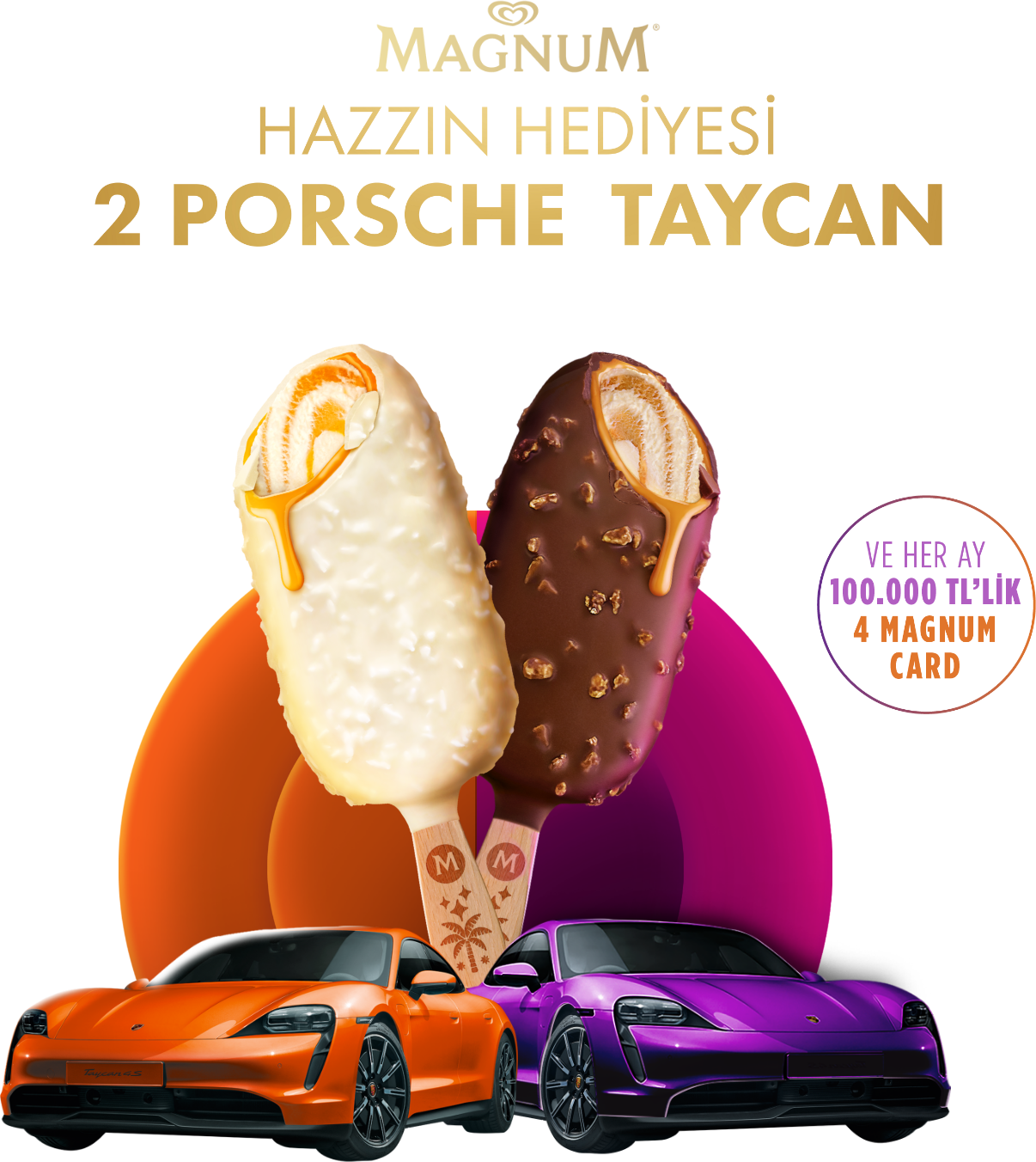 2023-magnum-porsche-cekilis-sonuclari-ne-zaman-aciklanacak-asil-ve-yedek-sorgulama-ekrani1