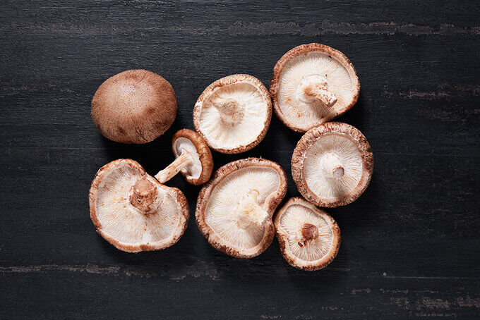 shiitake-mantari-zehirli-mi-shiitake-mantari-nasil-pisirilir-shiitake-mantari-yenir-mi2