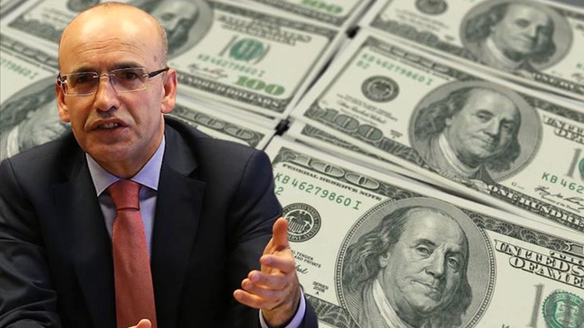 son-dakika-bakan-simsek-merkez-bankasi-16105332_8008_amp