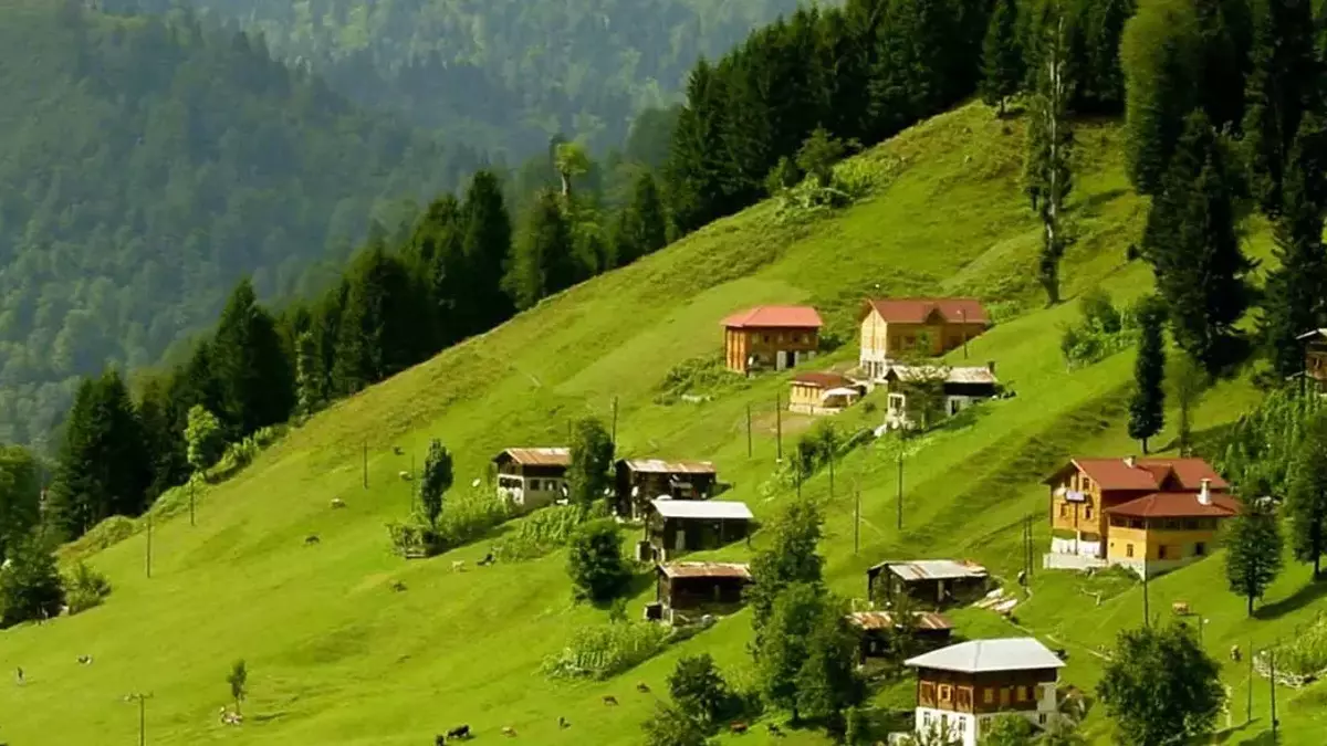 artvinin-bulutlarin-uzerindeki-yesil-cenneti-macahel-vadisi-macahel-vadisine-nasil-gidilir- (1)-2
