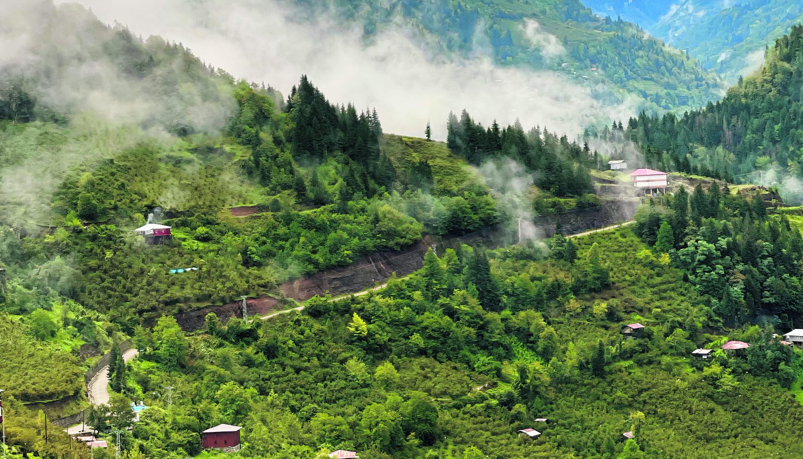 artvinin-bulutlarin-uzerindeki-yesil-cenneti-macahel-vadisi-macahel-vadisine-nasil-gidilir- (2)