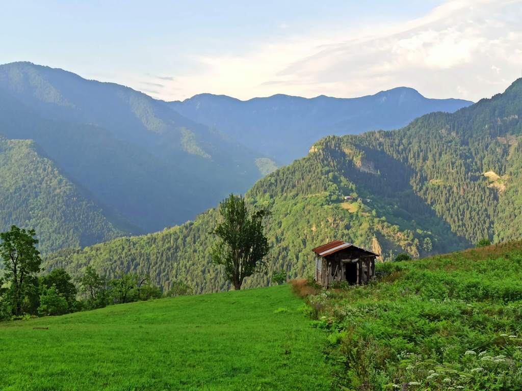 artvinin-bulutlarin-uzerindeki-yesil-cenneti-macahel-vadisi-macahel-vadisine-nasil-gidilir- (4)