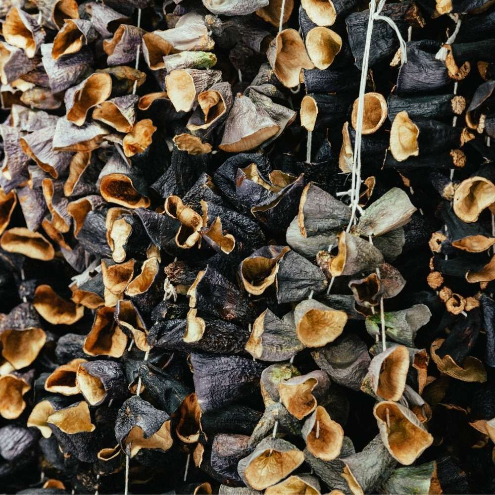 dolmalik-patlican-ve-biber-kurutma-tarifi-dolmalik-kurutmalik-nasil-yapilir (2)