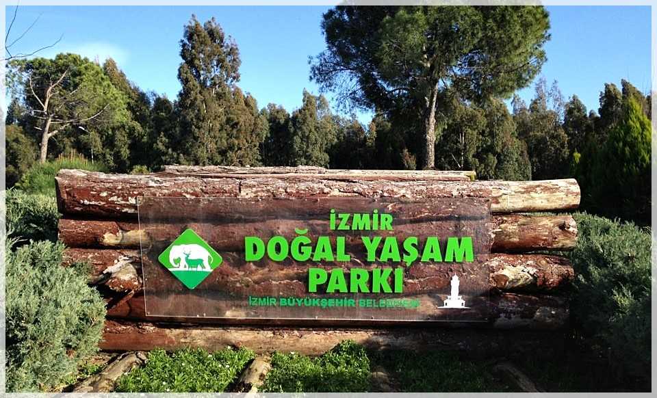 izmirdeki-tarihi-mekanlarin-bilinmeyenleri-nelerdir-izmirde-ilk-neler-kuruldu-izmir-hakkind (4)