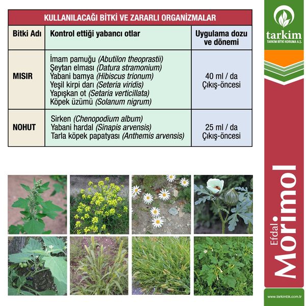 tarkim-ne-zaman-halka-arz-olacak-tarkim-ne-is-yapar-tarkim-kac-lot-verir-tarkim-kazandirir- (1)
