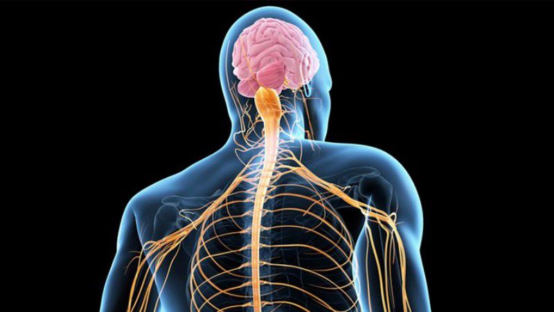 als-nedir-als-belirtileri-nelerdir-als-oldurur-mu-als-genetik-mi-als-tedavisi-var-mi (3)