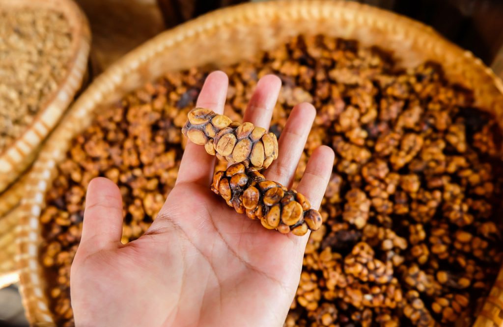 dunyanin-en-pahali-kahvesi-kopi-luwak-nedir-nasil-elde-edilir2