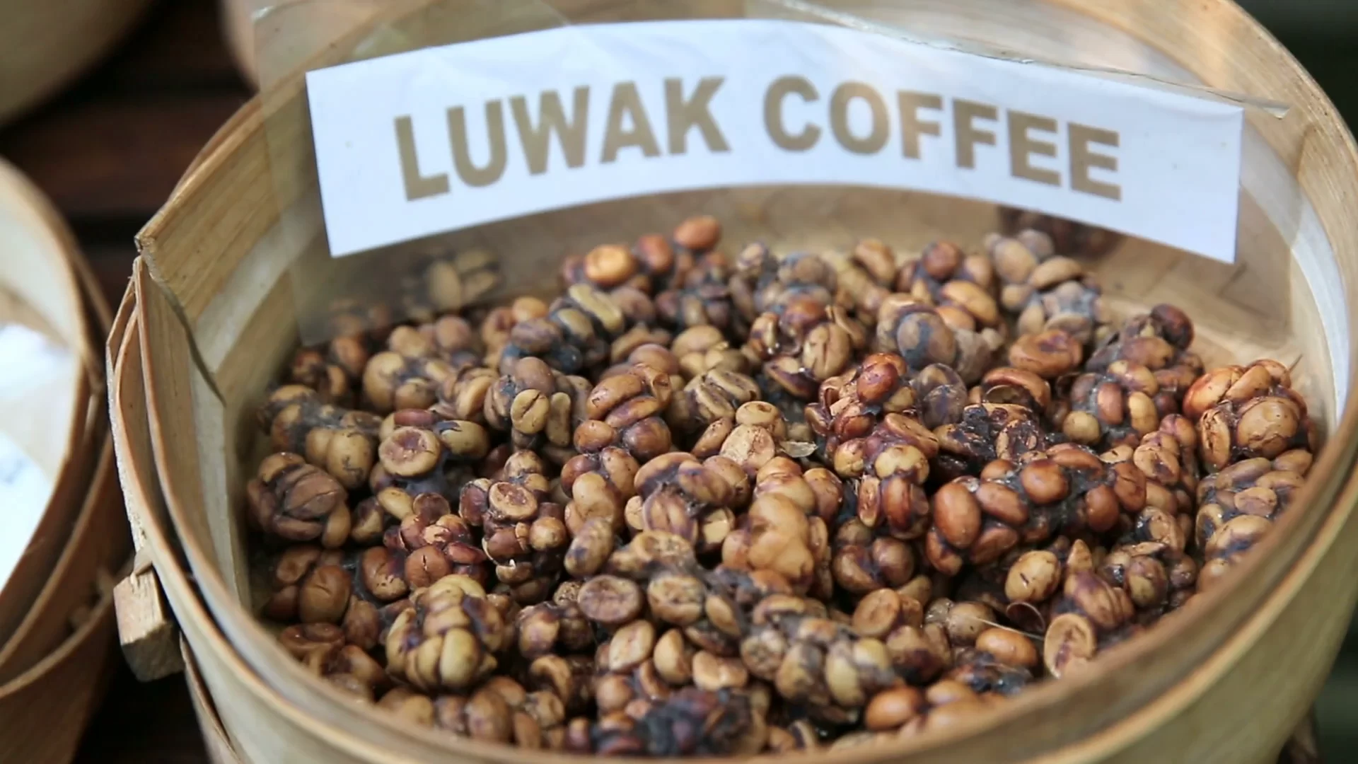 dunyanin-en-pahali-kahvesi-kopi-luwak-nedir-nasil-elde-edilir3