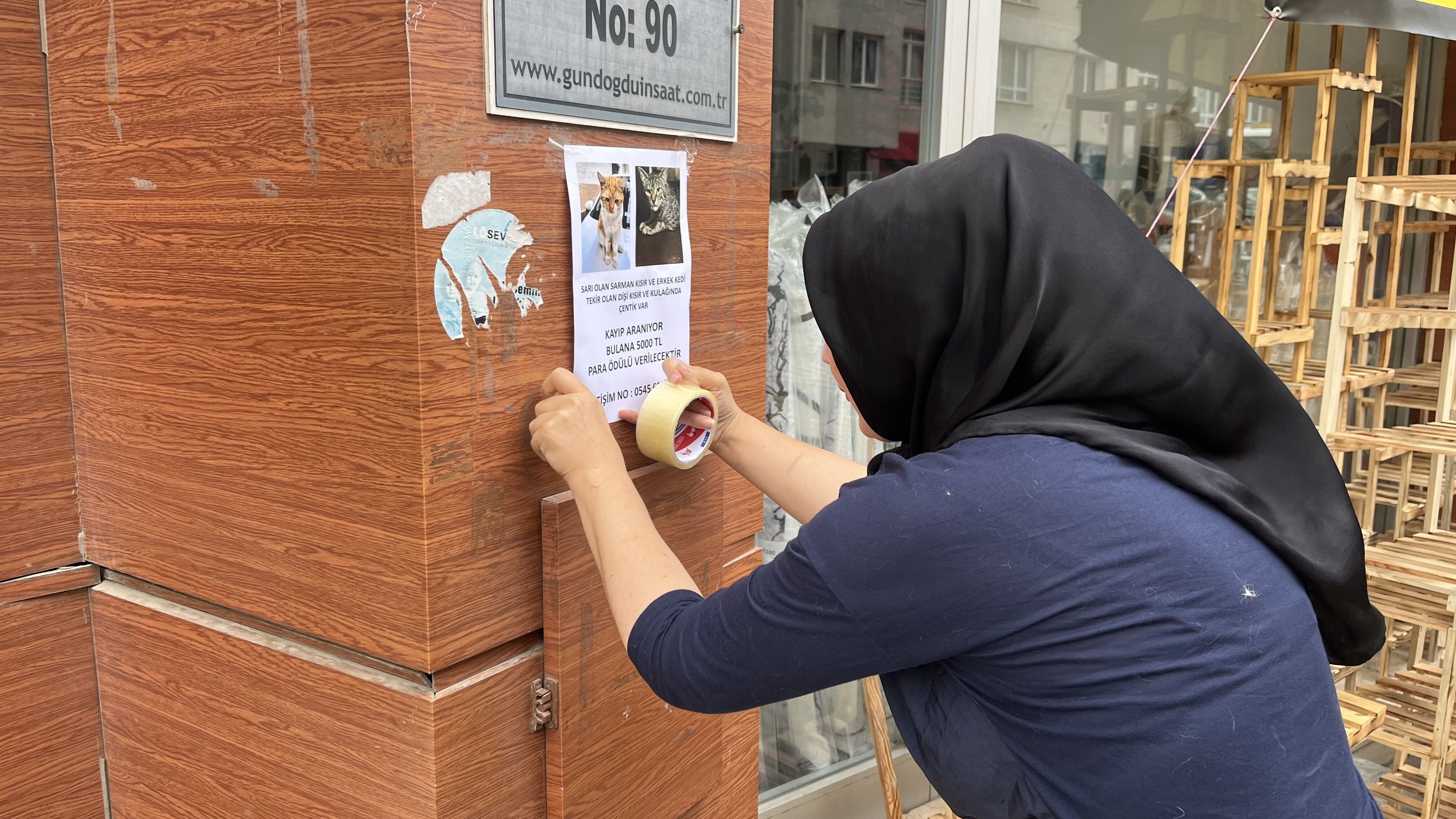 Kaybolan iki kedisi için 5'er bin lira para ödülü koydu! (1)