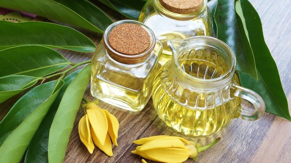 Ylang ylang yağı