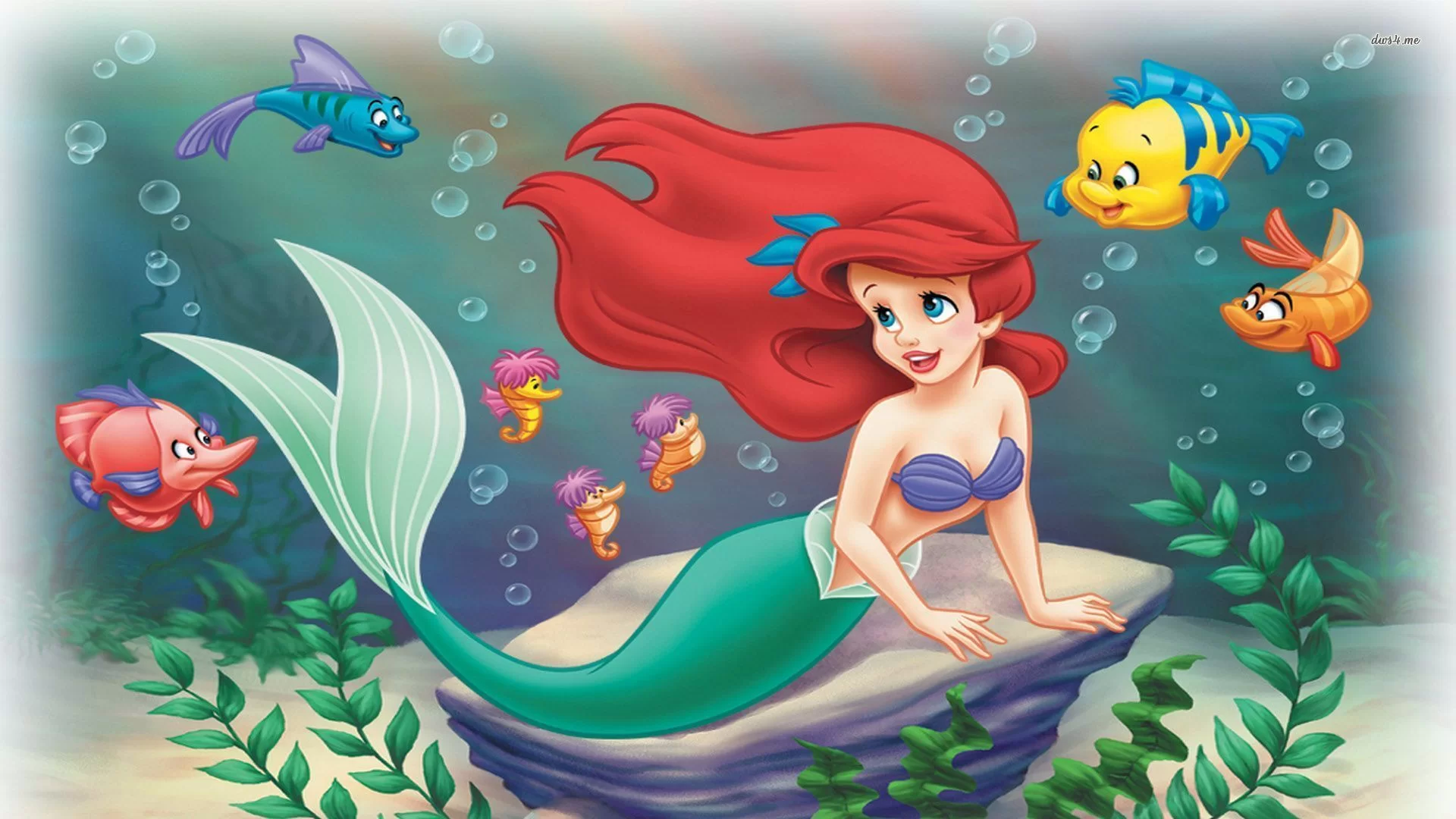 ariel