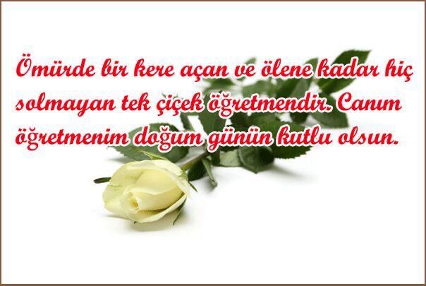 ogretmenler-gunu-mesajlari-ve-sozleri-en-guzel-24-kasim-ogretmenler-gunu-kisa-uzun-resimli-mesajlari87