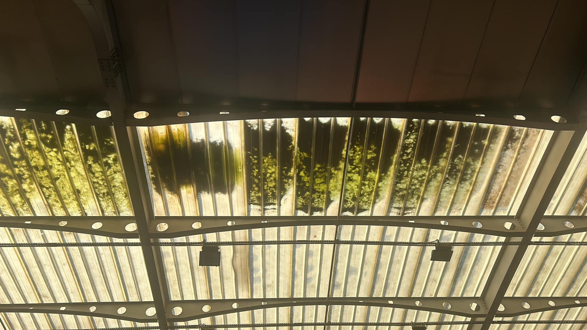 420155013 1758304301324023 4760863635027902121 N