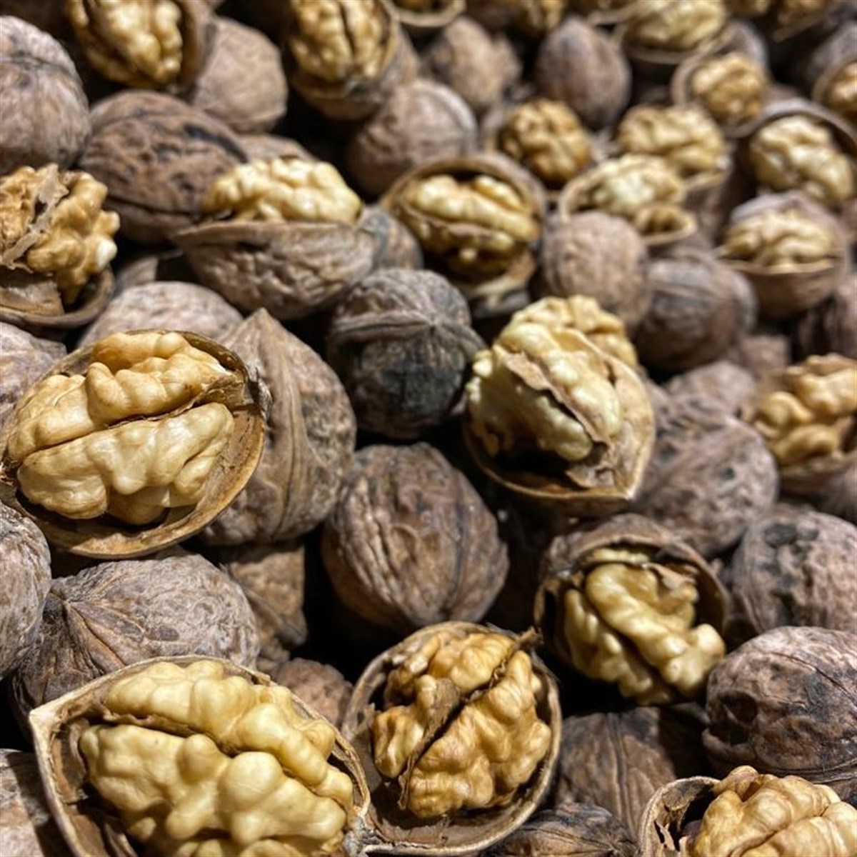 Oguzlar Yerli Ceviz 10Kg 65 99F