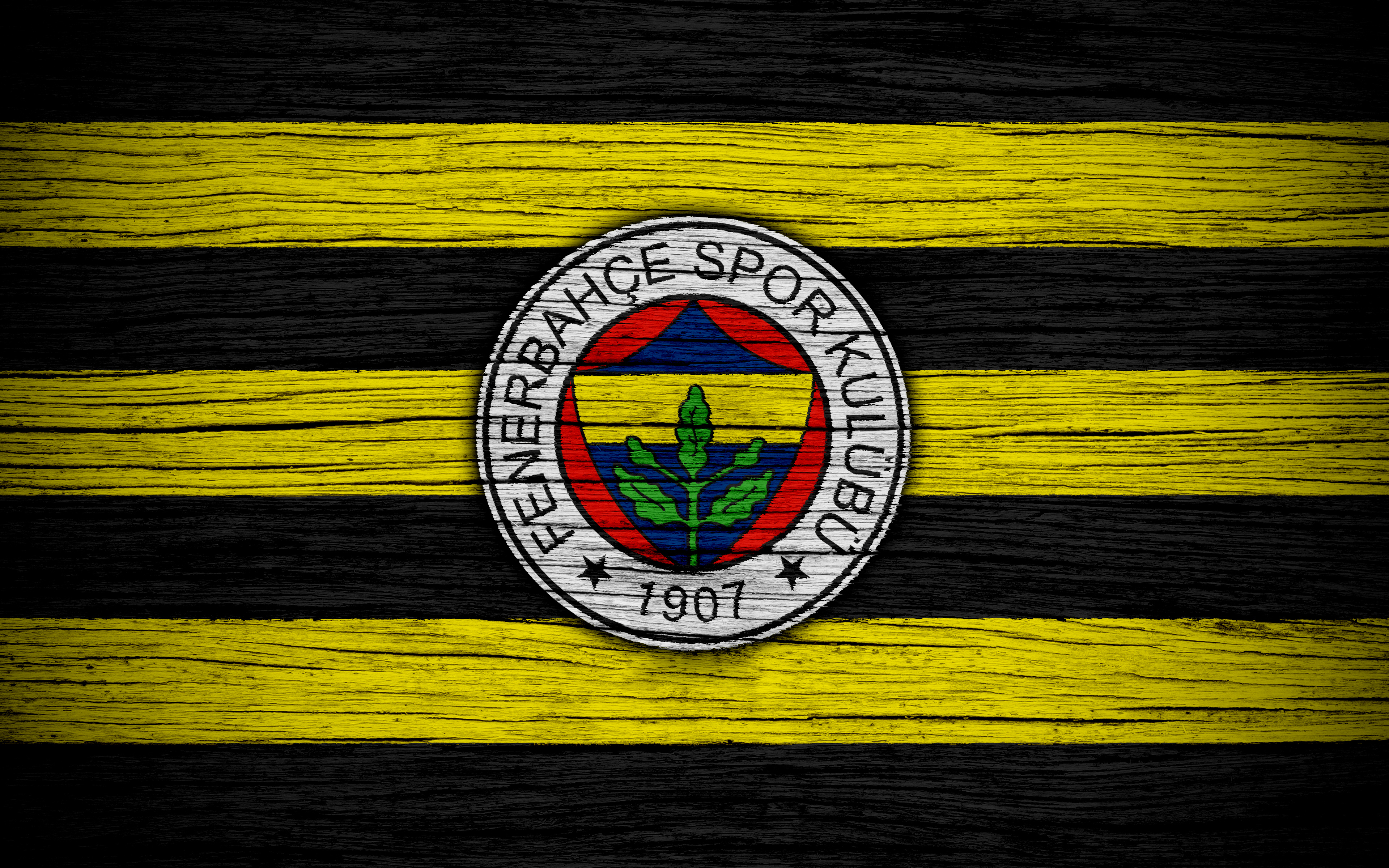 Fenerbahçe'de Transfer Dönemi Yoğun Geçti 3 Yeni Oyuncu, 7 Kiralık Transfer!