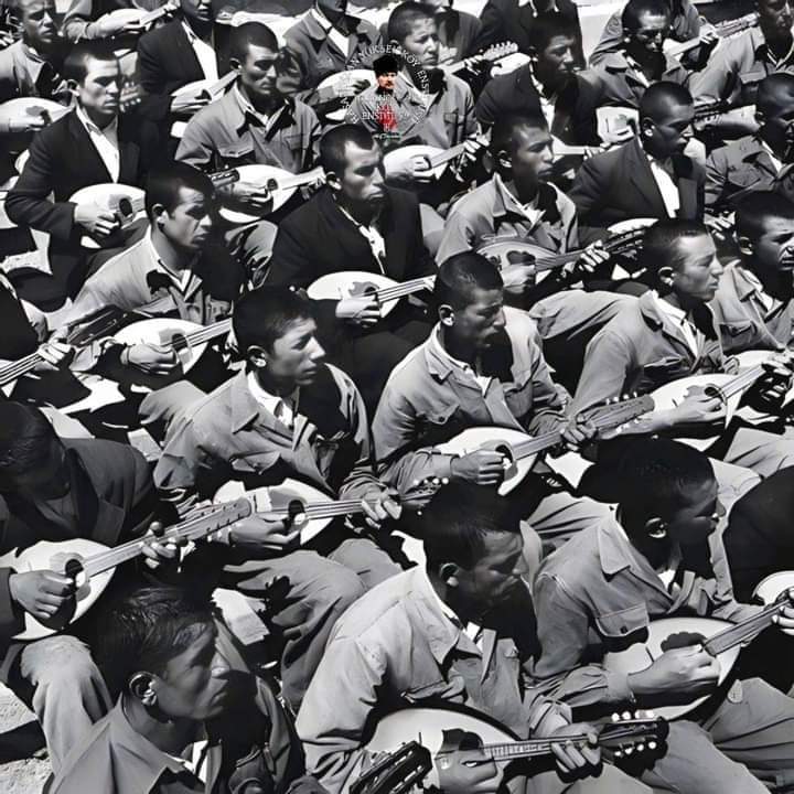 Mandolin