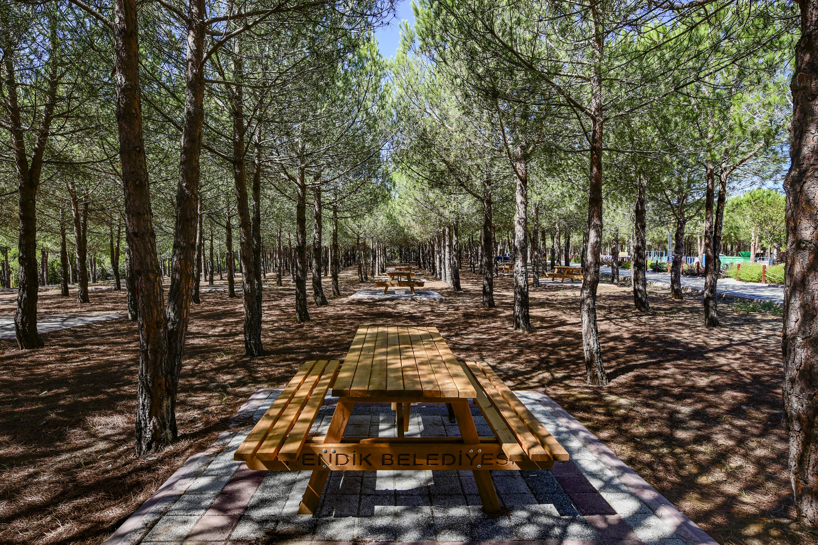 Pendik Korusu Nerede Pendik Korusu Ucretli Mi 2