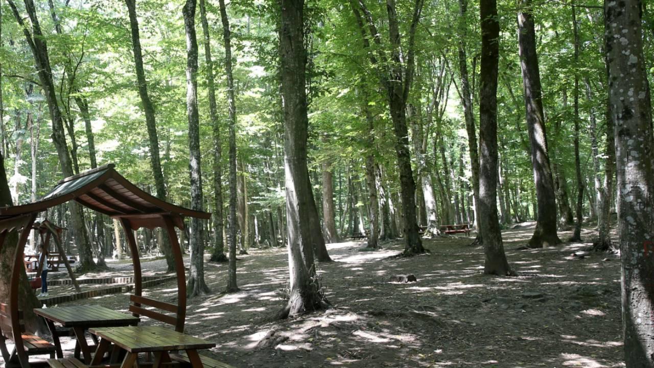 Denizli Mangal Yapilacak Yerler Denizlide En Guzel Mangal Piknik Alanlari Nerede (2)