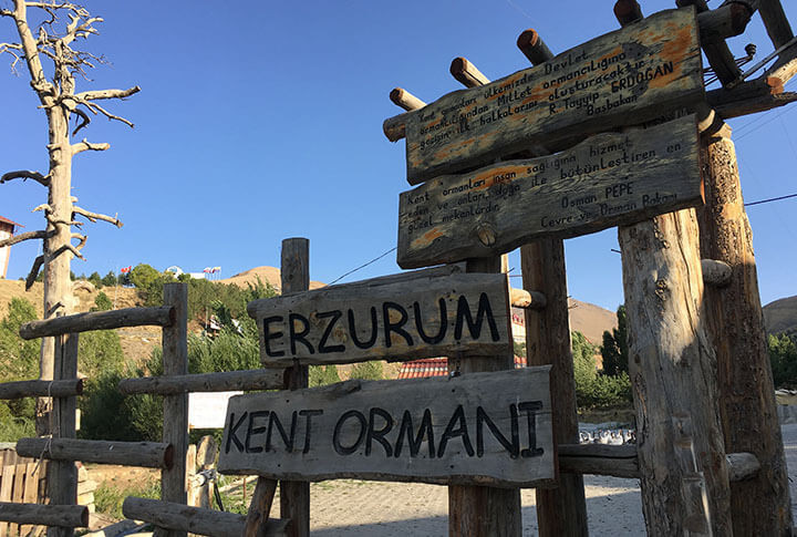 Erzurum Mangal Yapilacak Yerler Erzurumda En Guzel Mangal Piknik Alanlari Nerede (4)