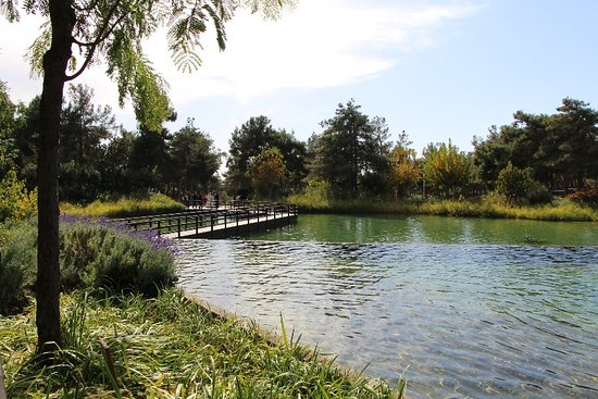 Gaziantep Mangal Yapilacak Yerler Gaziantepte En Guzel Mangal Piknik Alanlari Nerede (9)