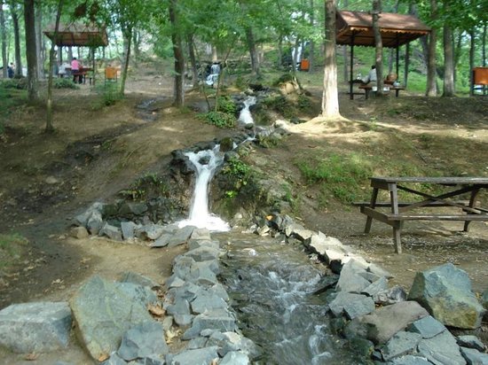 Giresun Mangal Yapilacak Yerler Giresunda En Guzel Mangal Piknik Alanlari Nerede