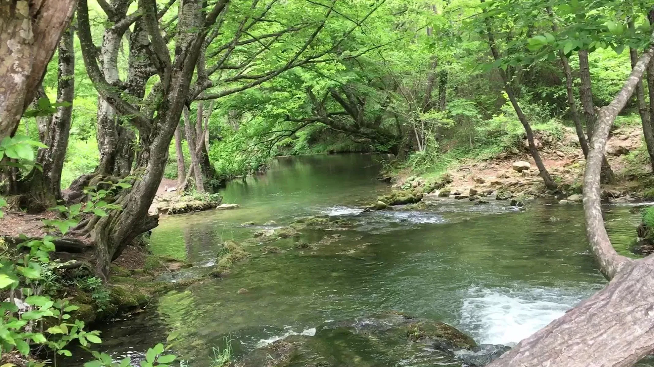 Kirklareli Mangal Yapilacak Yerler Kirklarelide En Guzel Mangal Piknik Alanlari Nerede (2)