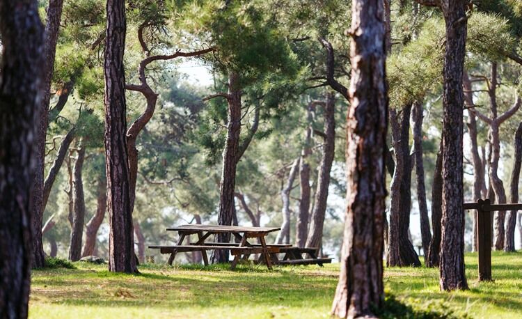 Osmaniye Mangal Yapilacak Yerler Osmaniyede En Guzel Mangal Piknik Alanlari Nerede 2