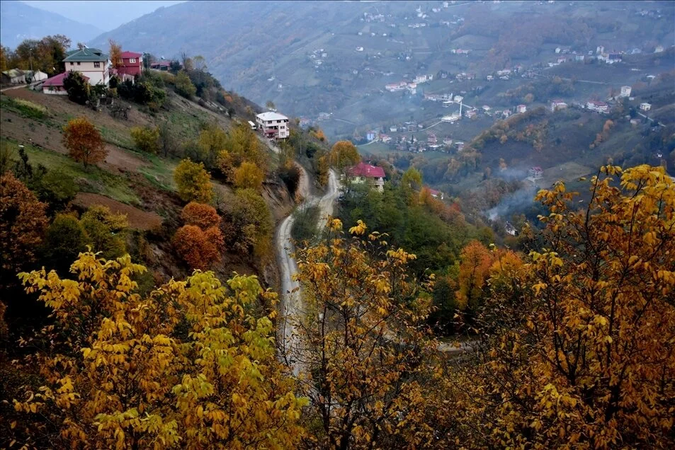 Trabzon Mangal Yapilacak Yerler Trabzonda En Guzel Mangal Piknik Alanlari Nere
