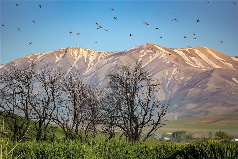 Van Mangal Yapilacak Yerler Vanda En Guzel Mangal Piknik Alanlari Nered