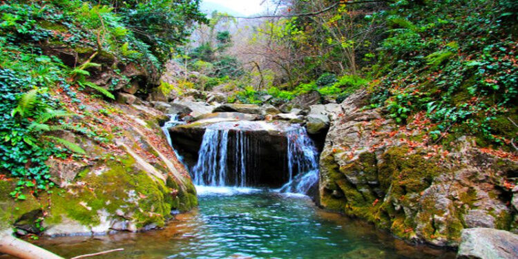 Alikahya Tabiat Park Yeni Bakış