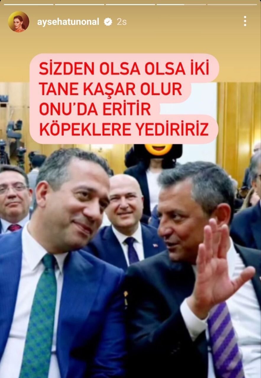 Ayşe Hatun Instagram