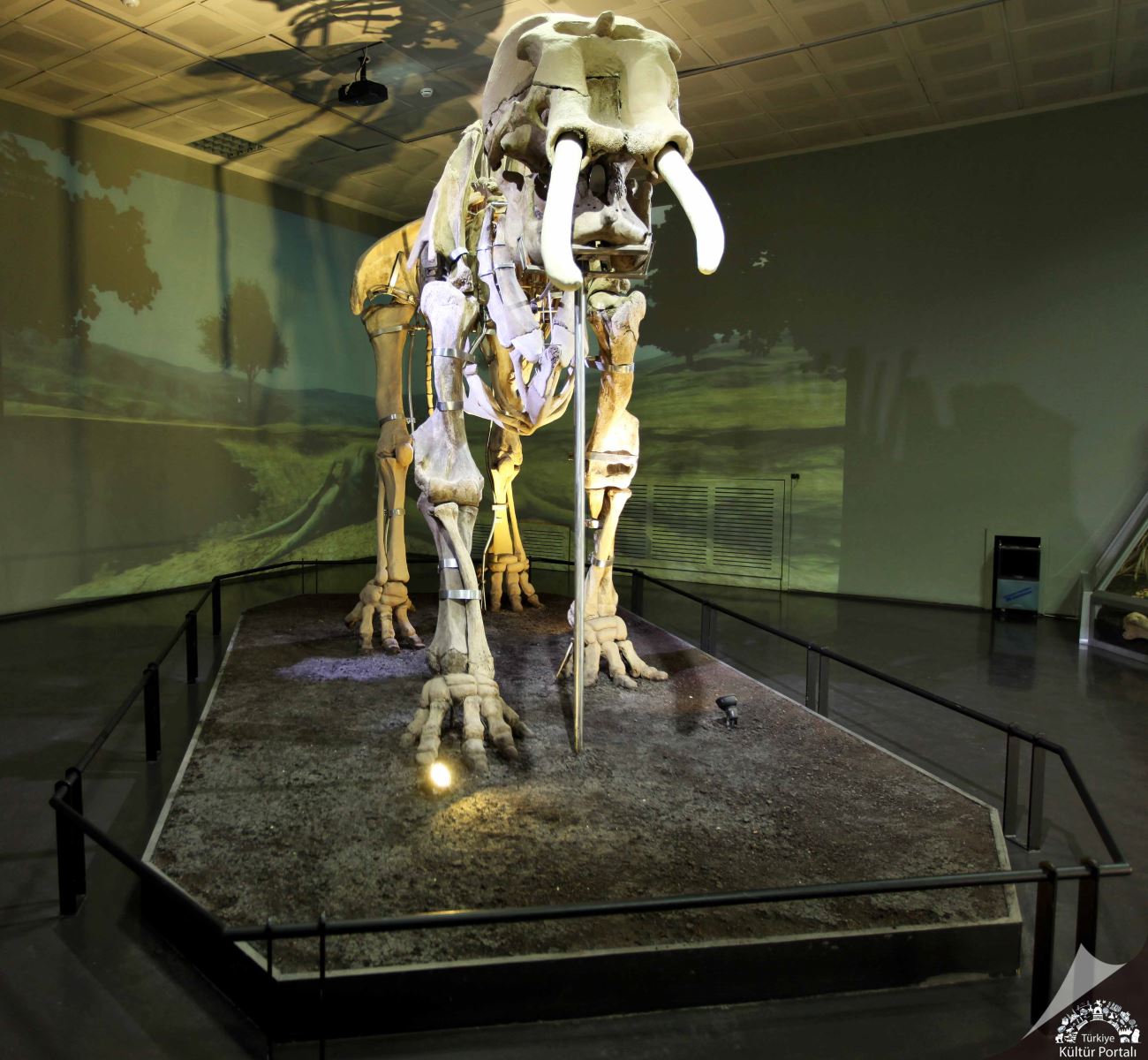 Kahramanmaraş Arkeoloji Müzesi Yeni Bakış