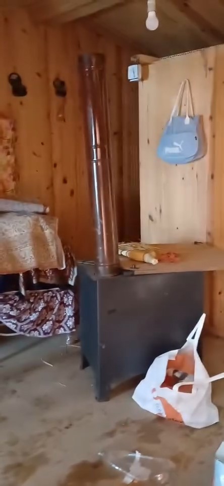 Rize Ayı Evi Talan Etti,