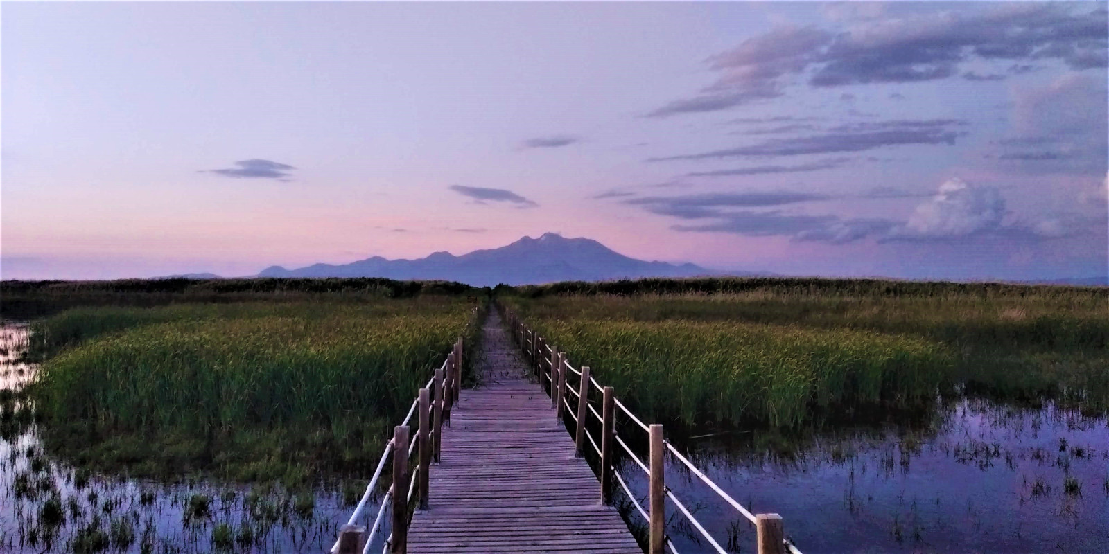 Sultan Marshes (Sultansazlığı)