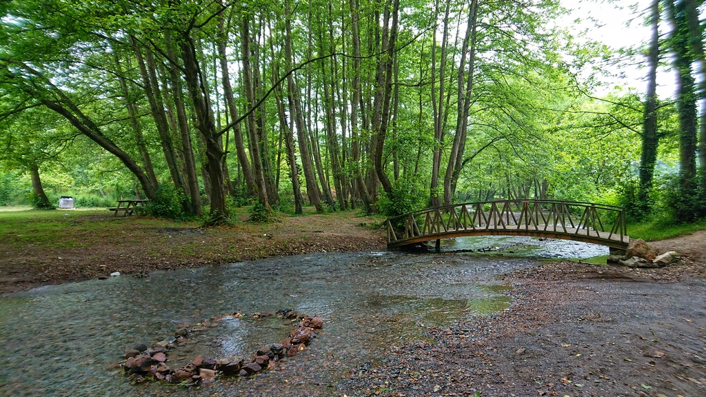 Akkaya Köyü Piknik Alanı