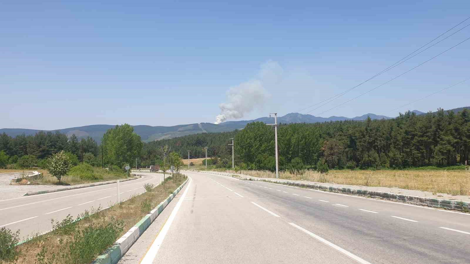 Bursada Orman Yangini Ucaklar Ve Helikopterler Sevk Edildi (2)