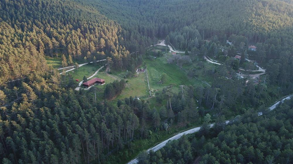 Çatacık Orman İçi Dinlenme Yeri