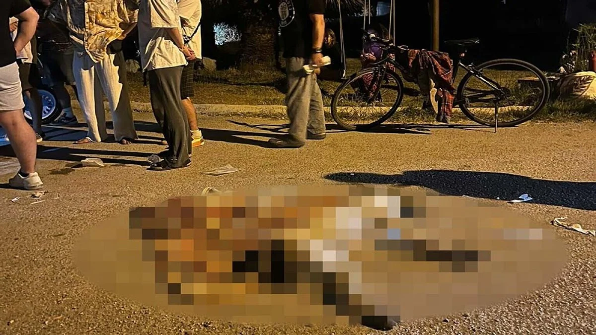 İzmir'de Vahşet! 6 Köpek Tarım Ilacıyla Zehirlendi-1