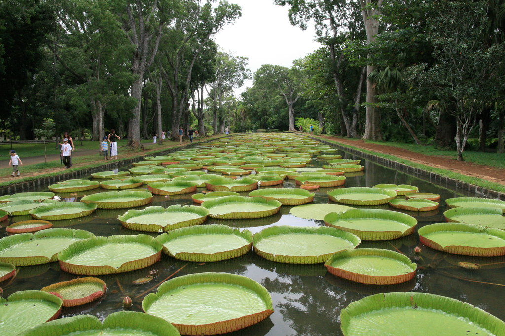 Mauritius Nerede Mauritius'a Ne Zaman Gidilir (7)