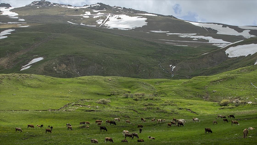 Palandöken Dağı