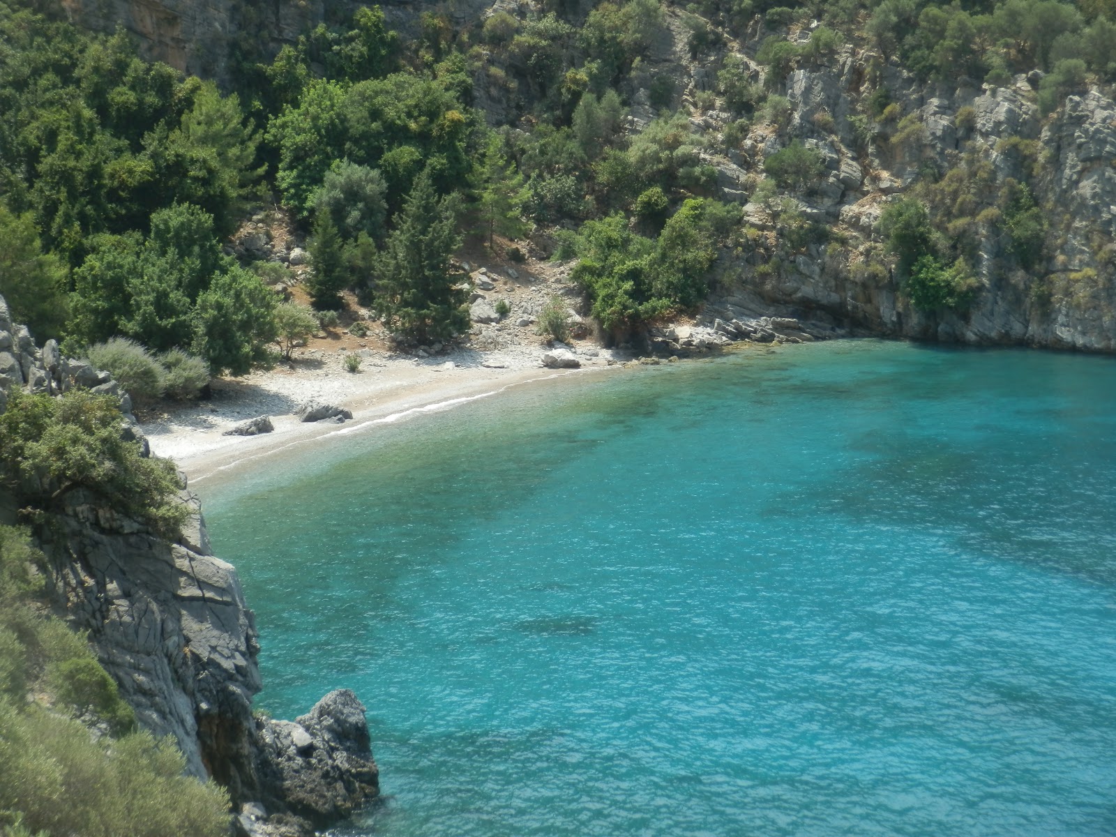 Panoramio 131457739