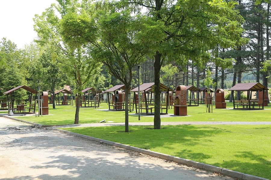 Regülatör Piknik Alanı