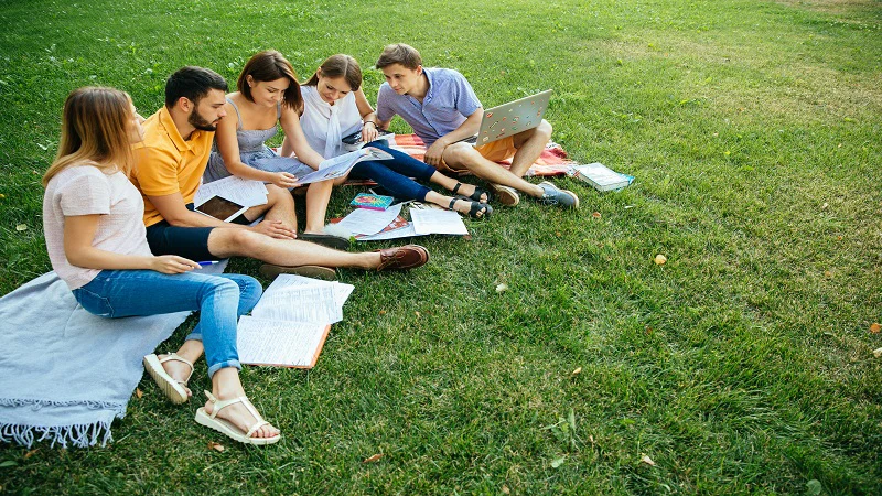 Sosyal Transkript Nedir Ne Ise Yarar-1