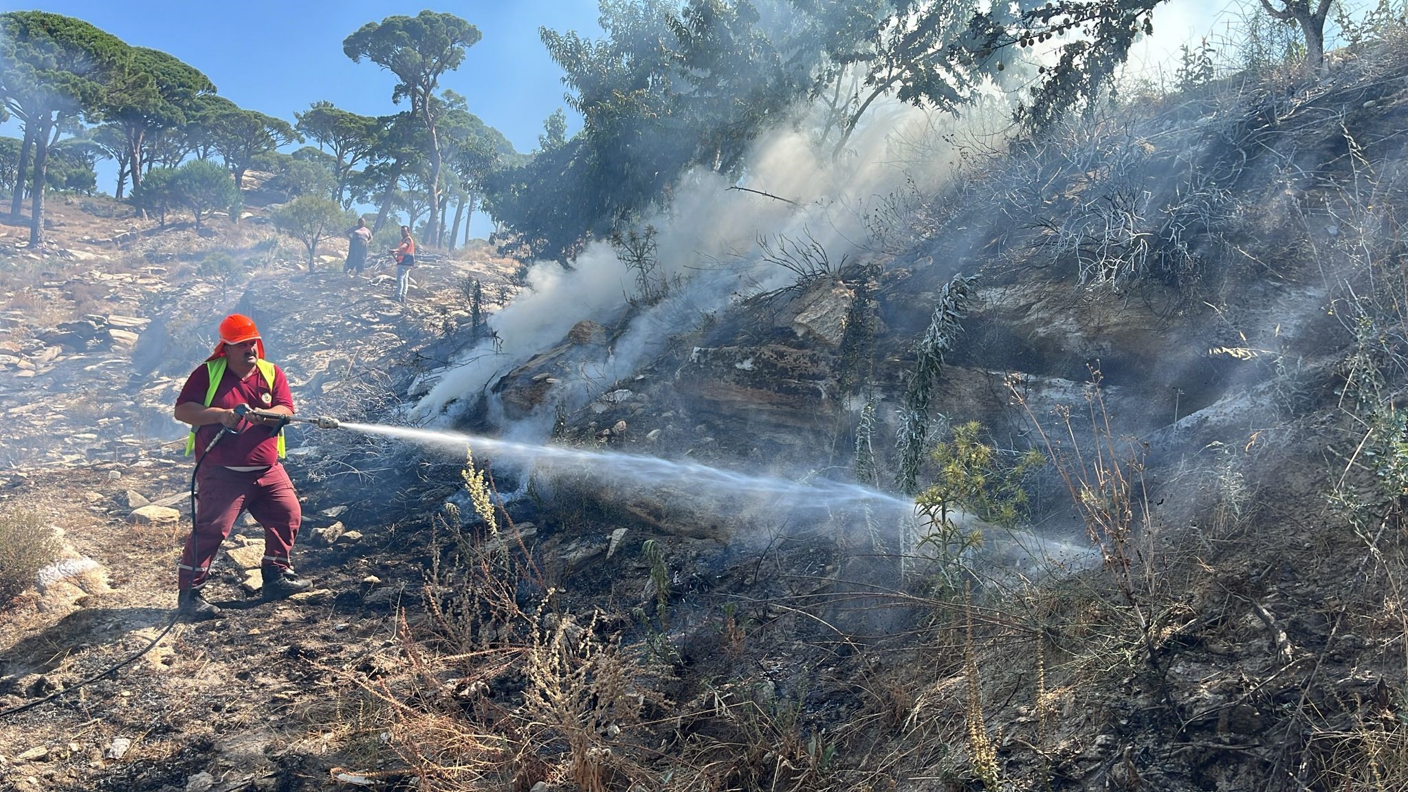 Mugla Kavakliderede Orman Yangini Ekipler Mudahale Ediyor (1)